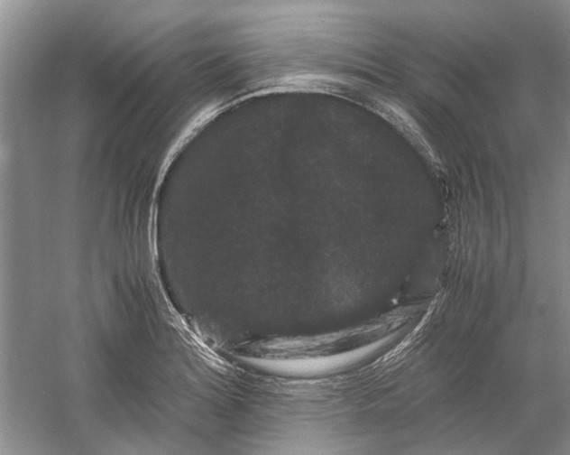 X0000060551180200511171531