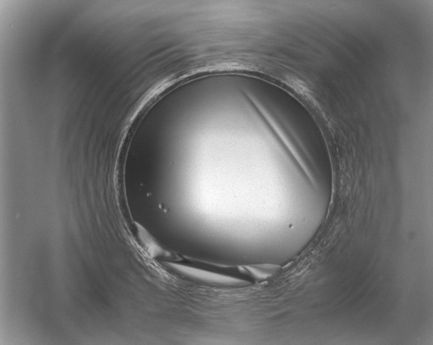 X0000060551181200511171531