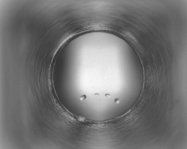 X0000060551182200511171531