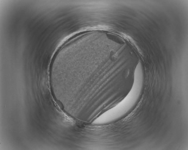 X0000060551184200511171531