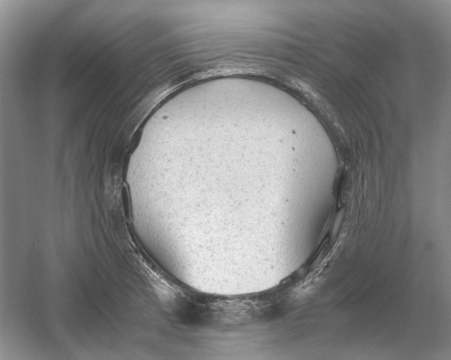 X0000060551185200511171531