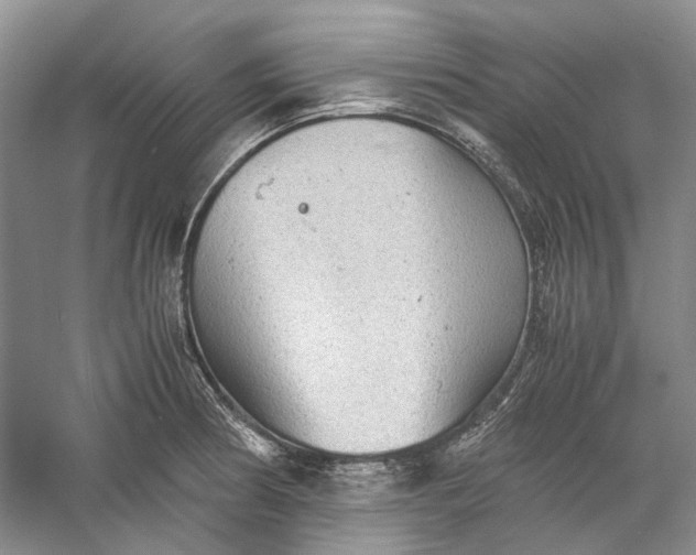 X0000060551186200511171531