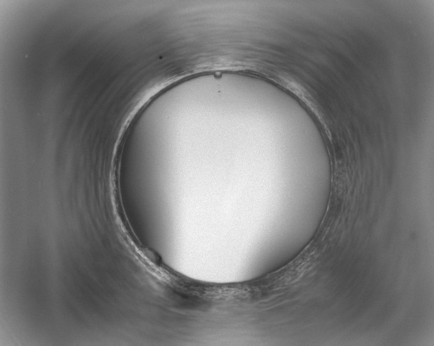 X0000060551187200511171531