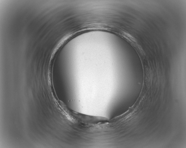 X0000060551188200511171531