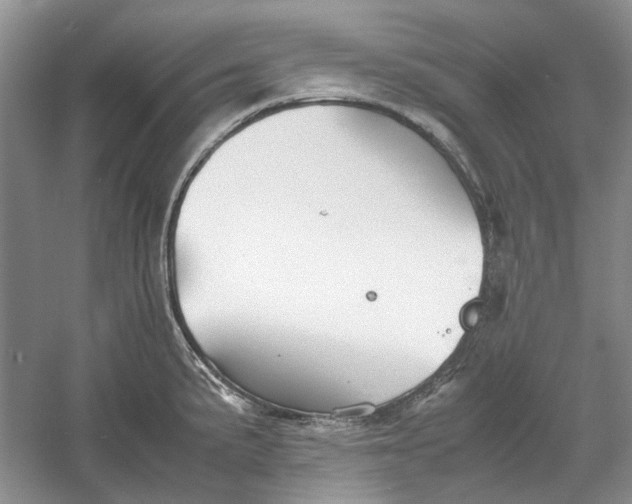 X0000060551191200511171531