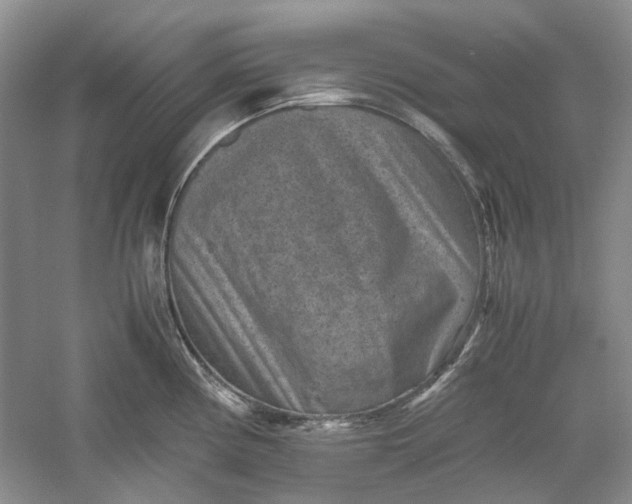 X0000060551194200511171531