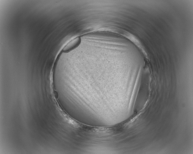 X0000060551198200511171530