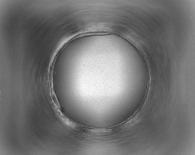 X0000060551200200511171530