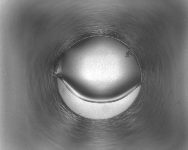 X0000060551202200511171530