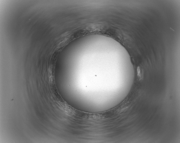 X0000060551203200511171530