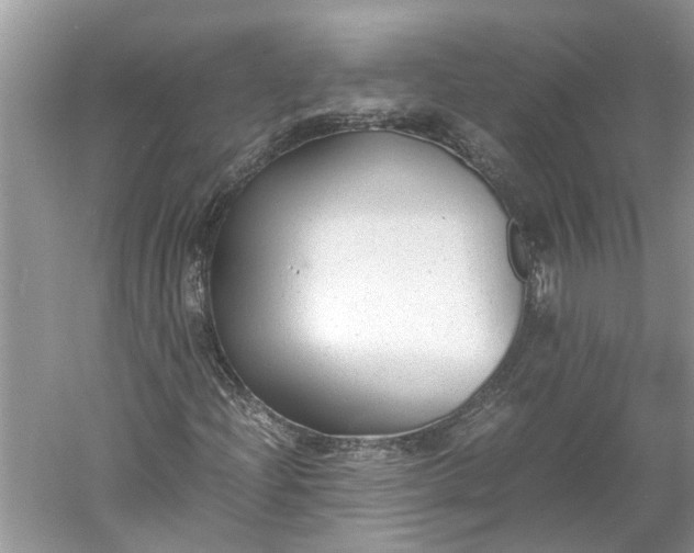 X0000060551204200511171530