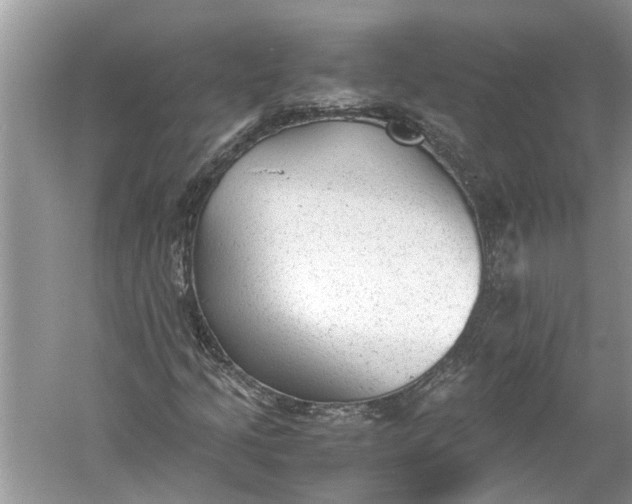 X0000060551205200511171530