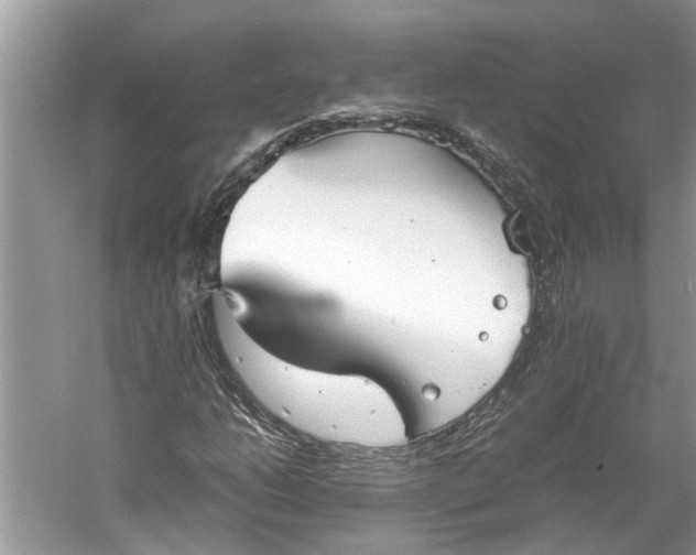 X0000060551206200511171530