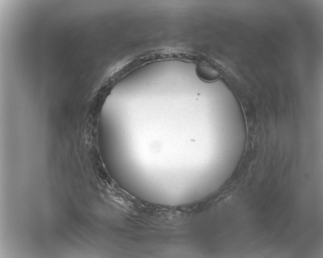 X0000060551207200511171530