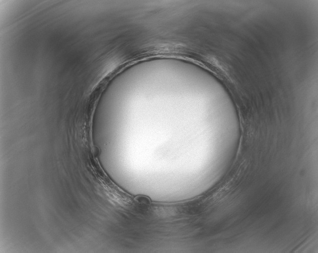 X0000060551211200511171530