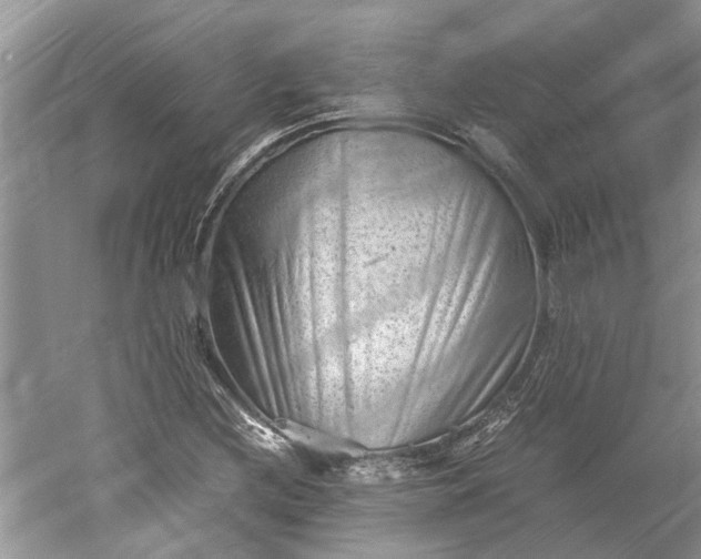 X0000060551212200511171530