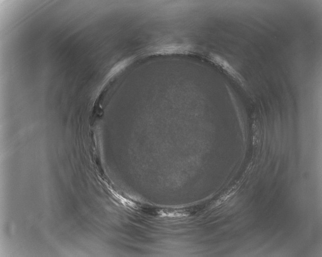 X0000060551213200511171530