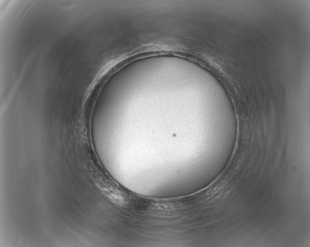 X0000060551215200511171530