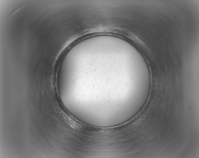 X0000060551216200511171530