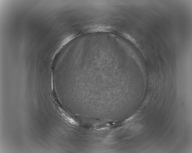 X0000060551219200511171530