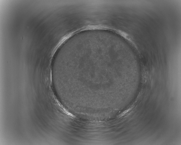 X0000060551221200511171530