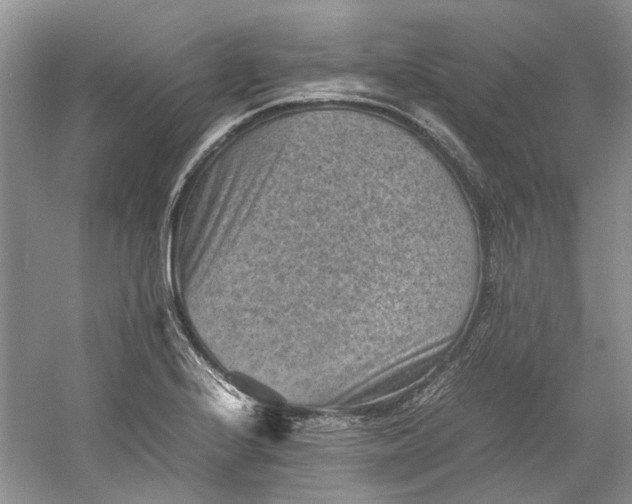 X0000060551224200511171530