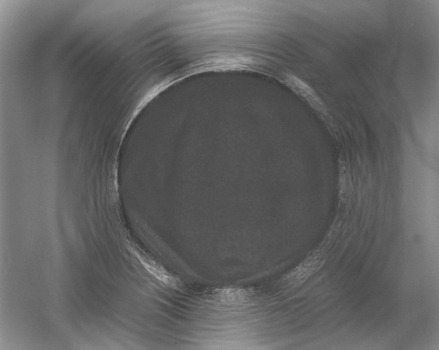 X0000060551226200511171530