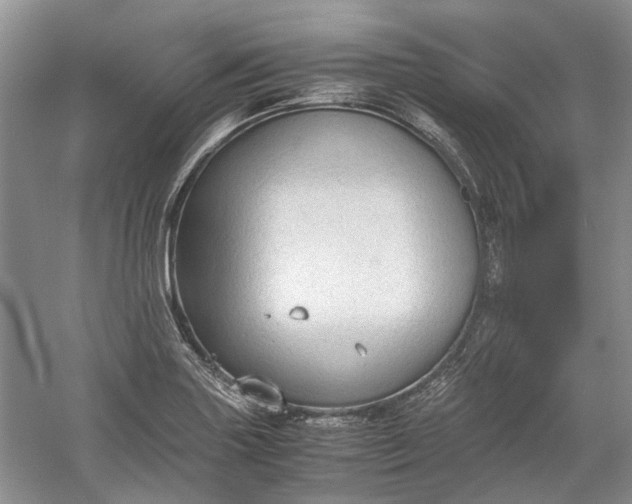 X0000060551227200511171530