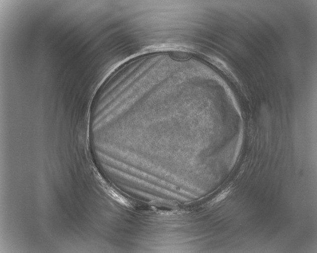 X0000060551228200511171530