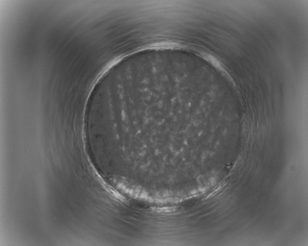 X0000060551229200511171530