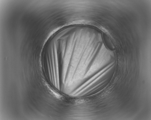 X0000060551230200511171530