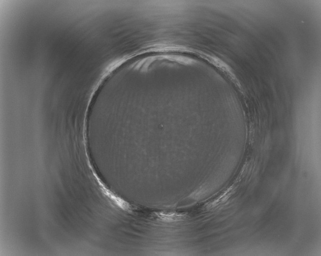 X0000060551231200511171530