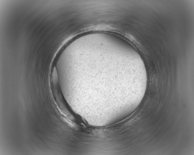 X0000060551232200511171530