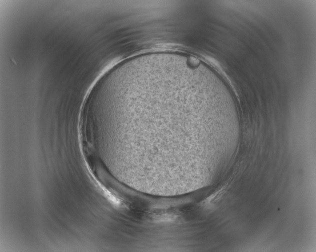 X0000060551235200511171530