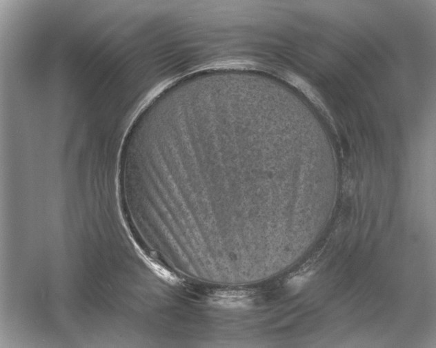 X0000060551237200511171530