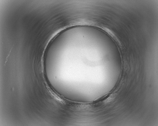 X0000060551238200511171530