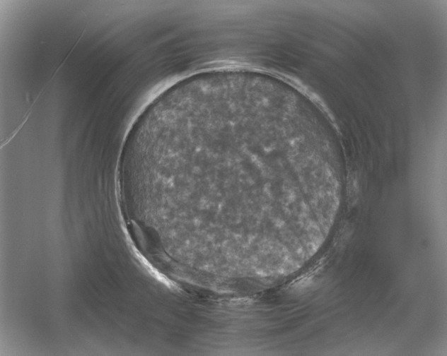 X0000060551239200511171530