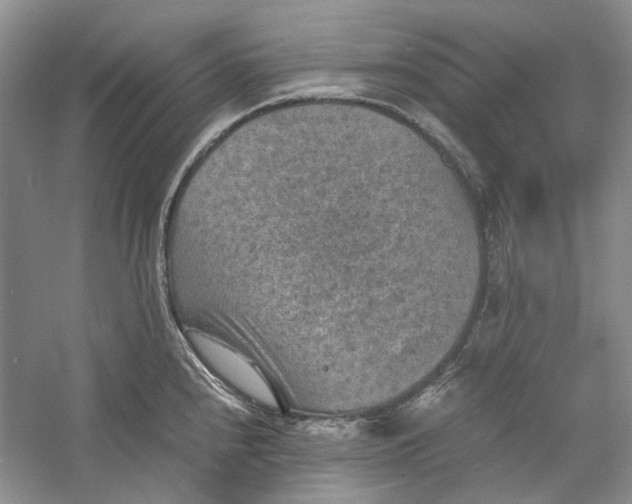 X0000060551240200511171530