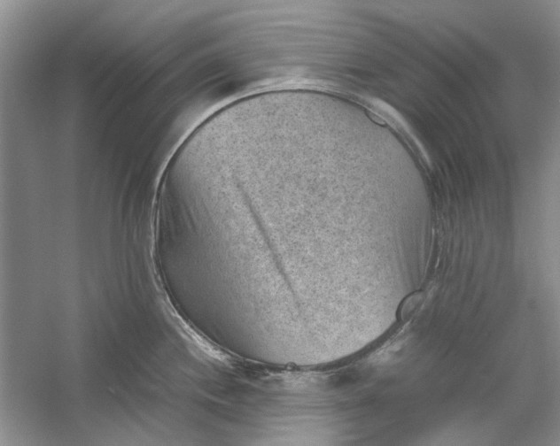 X0000060551244200511171530