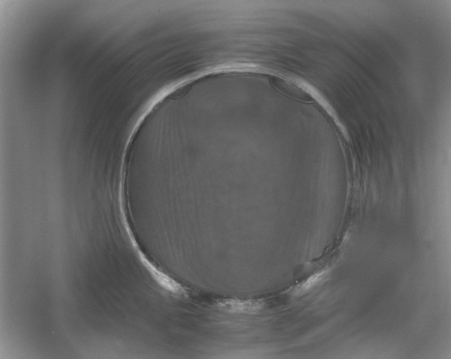 X0000060551245200511171530