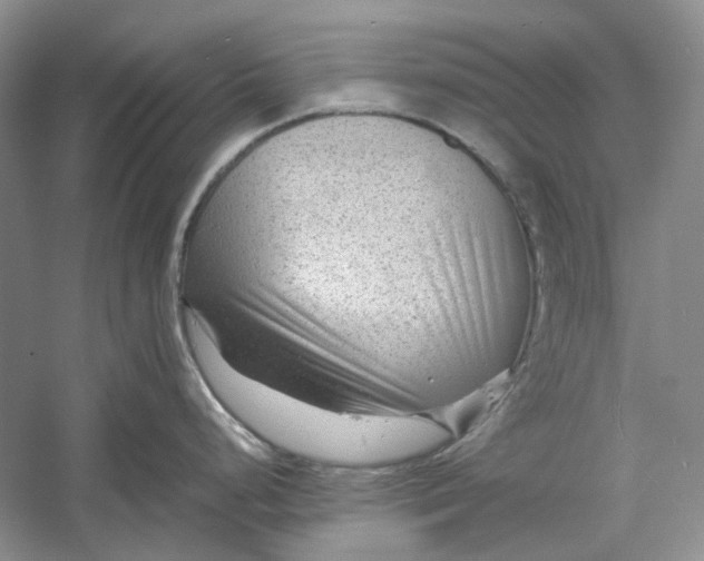 X0000060551248200511171530