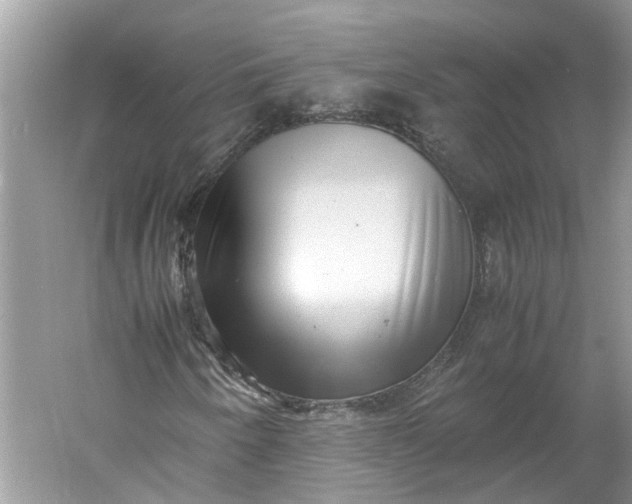 X0000060551250200511171530