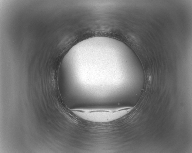 X0000060551252200511171530