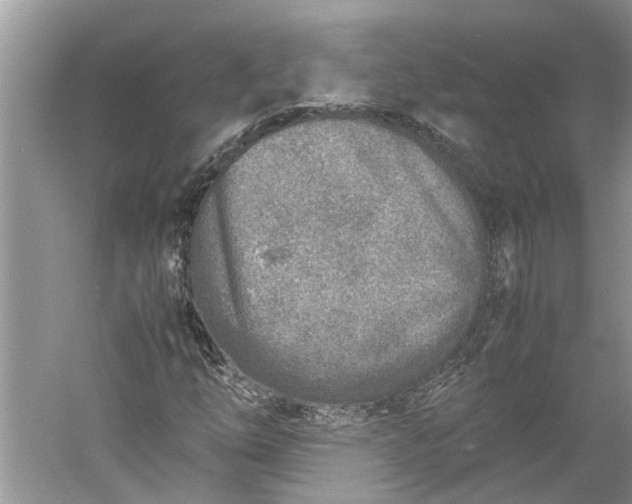 X0000060551254200511171529