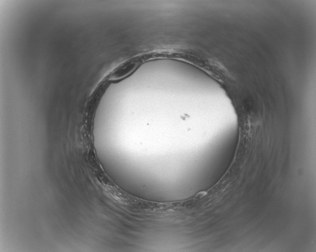 X0000060551256200511171529