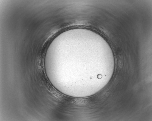 X0000060551258200511171529