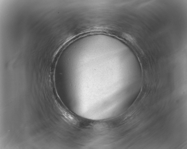 X0000060551260200511171529