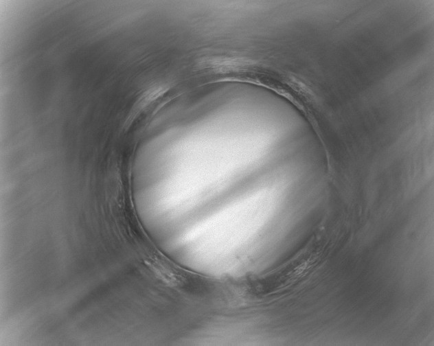 X0000060551261200511171529