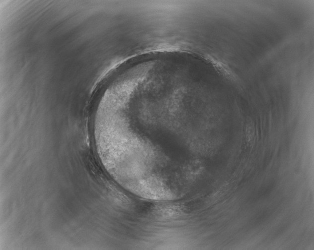 X0000060551262200511171529