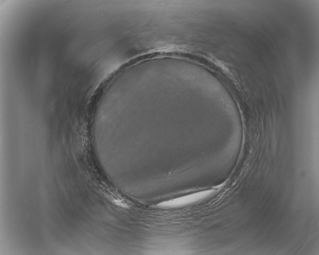 X0000060551263200511171529